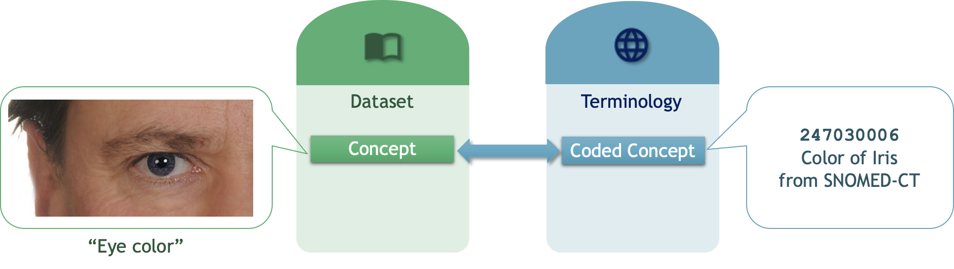 image-20220629102233805