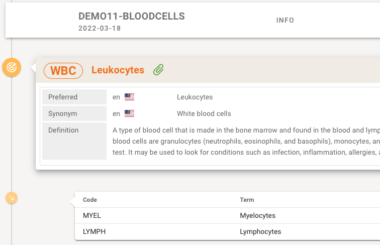 image-20240105161418000