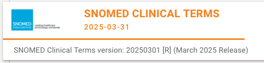 image-20250503132003863